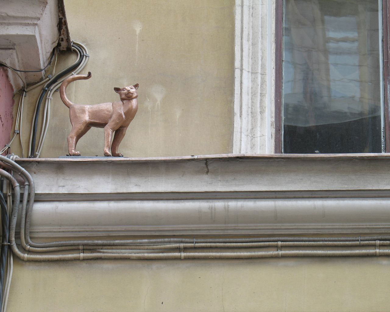 шуточный памятник кошке на Малой Садовой улице