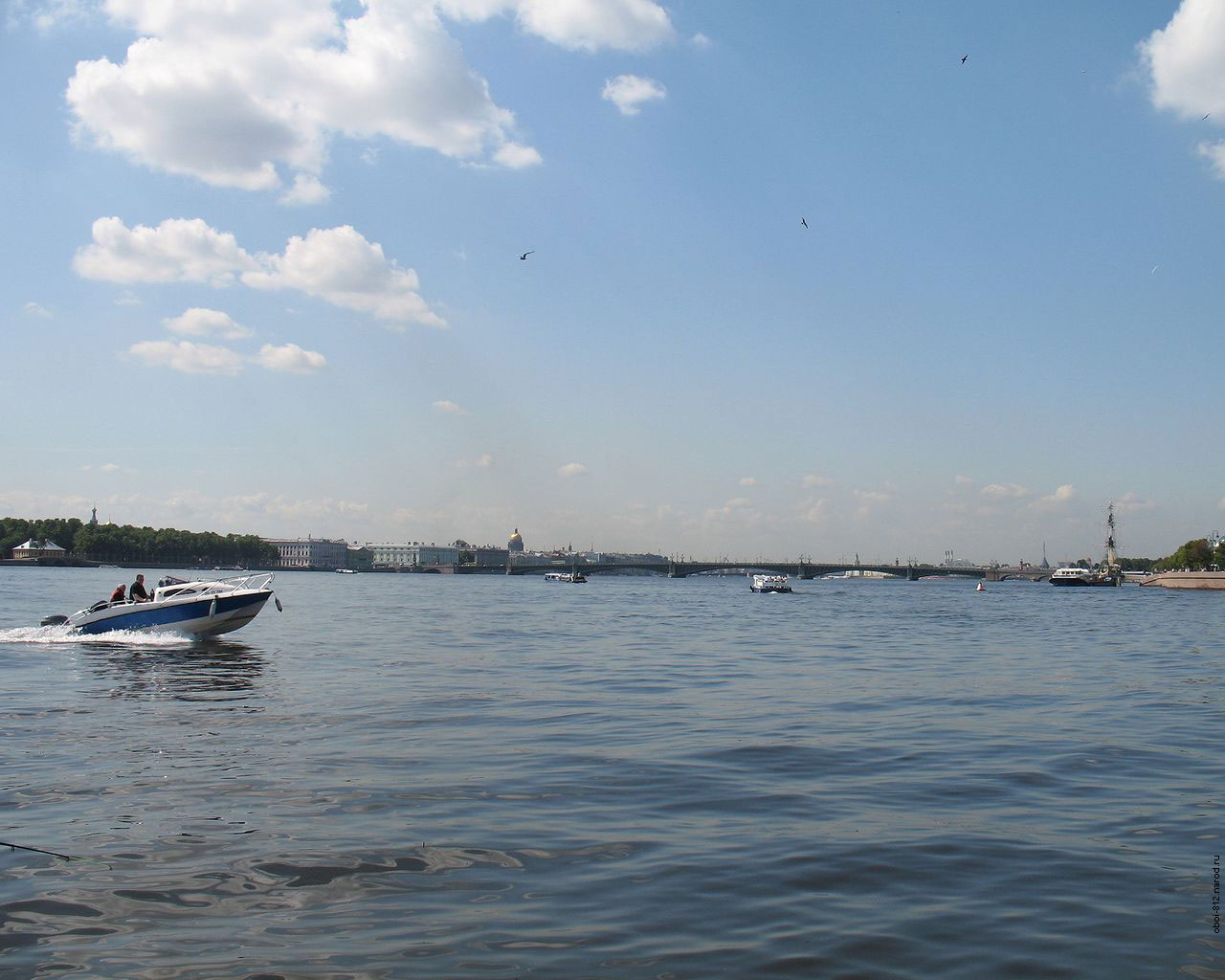 Вид на Неву с Пироговской набережной в Питере