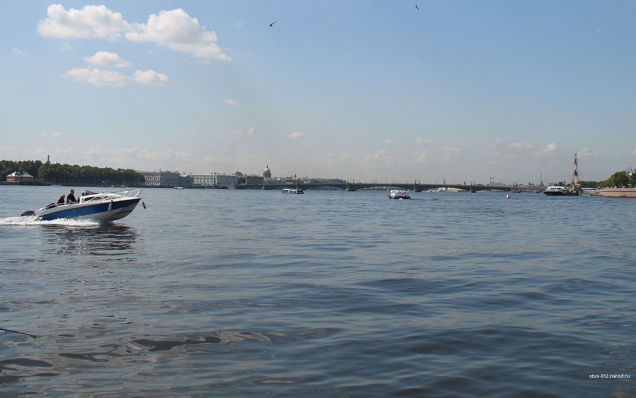 Вид на Неву с Пироговской набережной в Питере